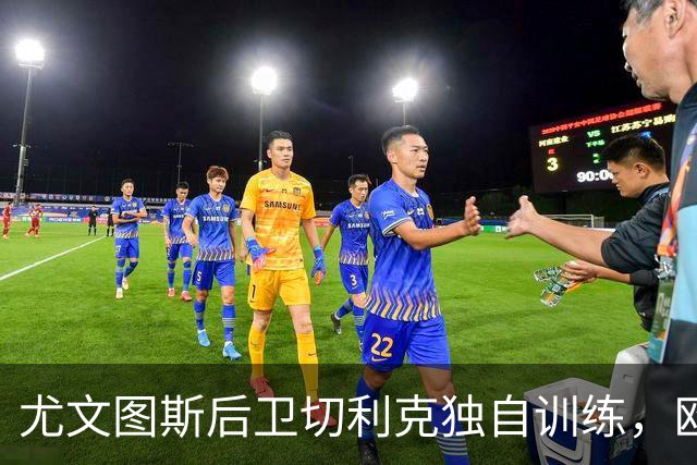 尤文图斯后卫切利克独自训练，欧联杯出战前景堪忧
